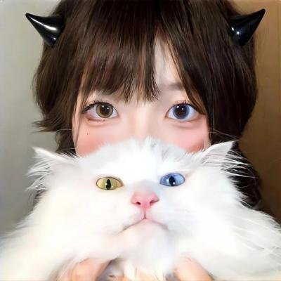 都铎王朝第四季